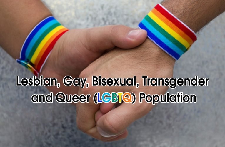 Lesbian, Gay, Bisexual, Transgender and Queer (LGBTQ) Population
